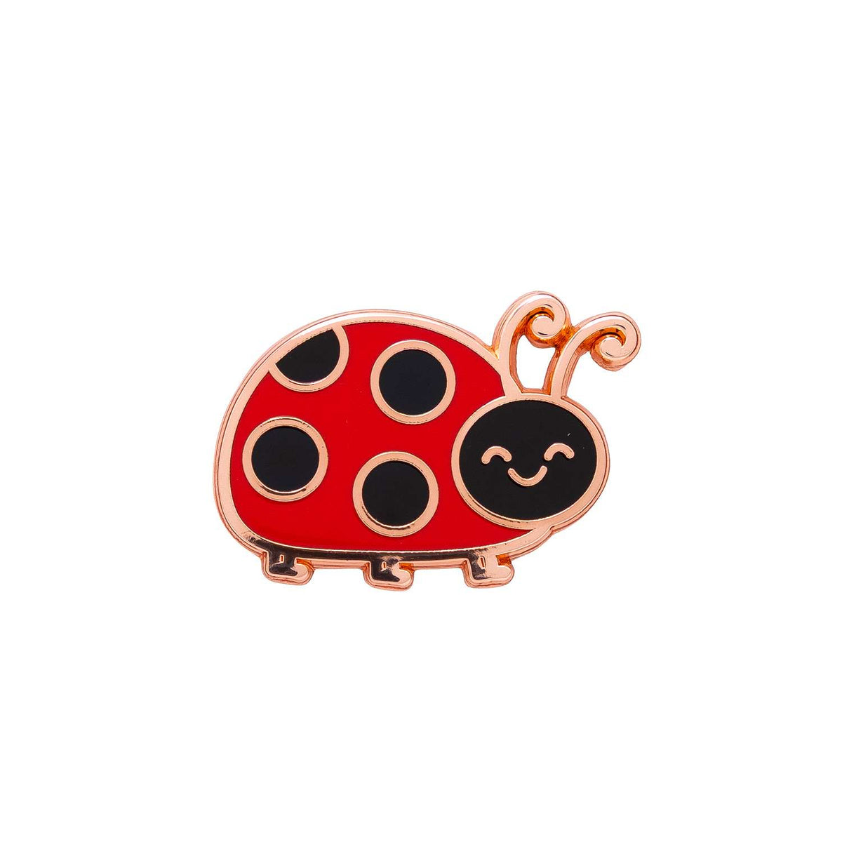 Valentine's Day Ladybug Keepsake Pin "Bugs & Kisses"