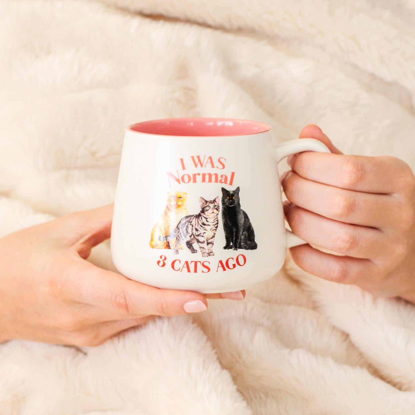 I Love My Normal 3 Cats Ago Mug