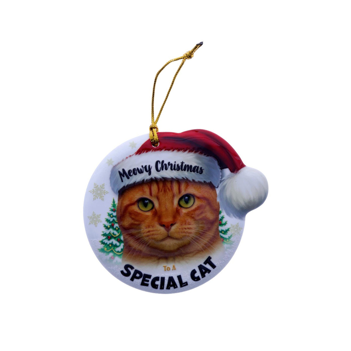 Christmas Sentiment Ceramic Plaque Special Cat Ginger