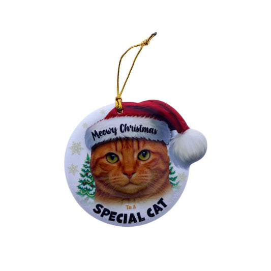 Christmas Sentiment Ceramic Plaque Special Cat Ginger