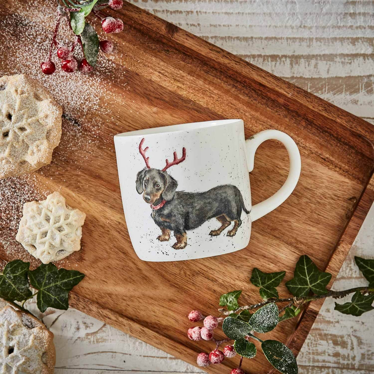 Royal Worcester Wrendale Designs Mug Dachshund