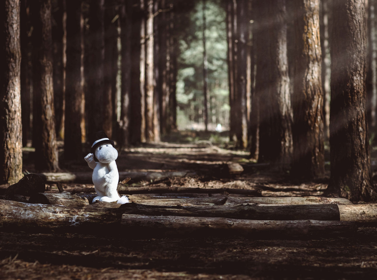 MOOMIN BY CHARLIE BEARS MOOMINPAPPA