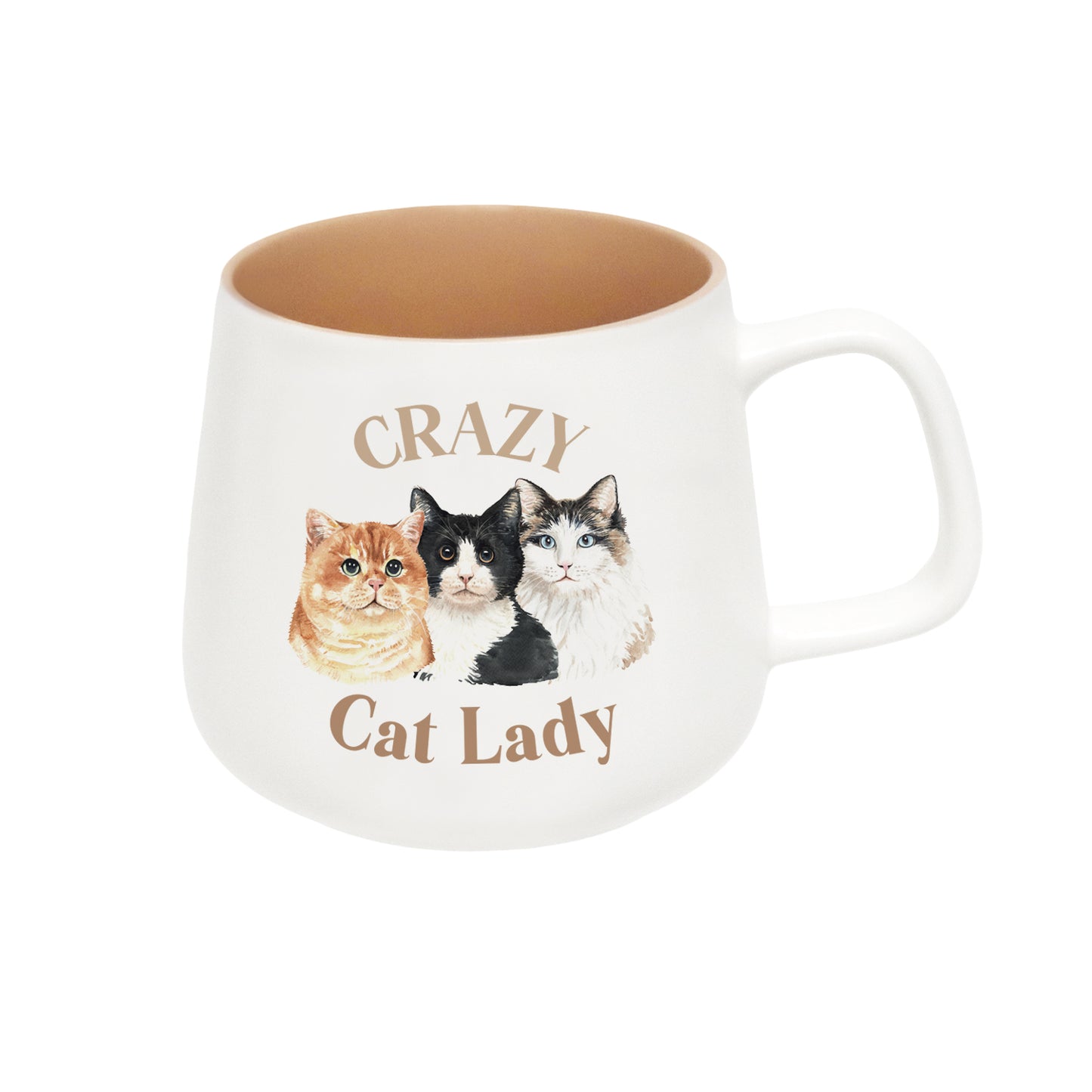 I Love My Crazy Cat Lady Mug