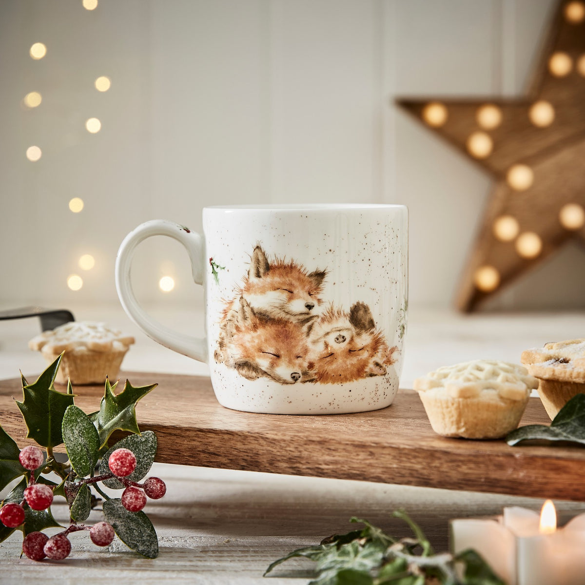 Royal Worcester Wrendale Designs Mug Foxes