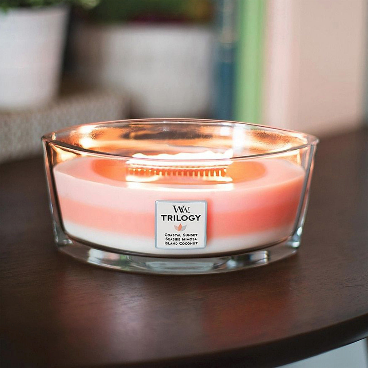 Woodwick Candles Trilogy Ellipse Candle Island Getaway Trilogy
